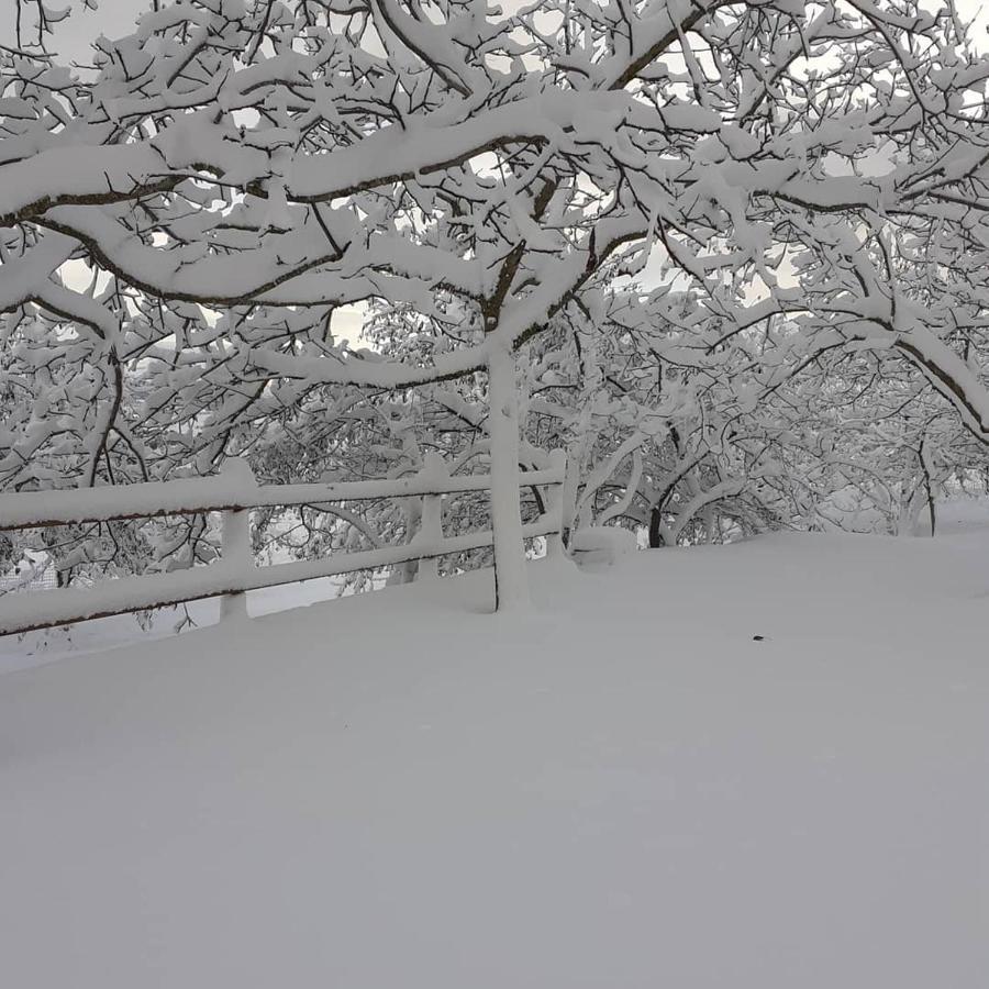 Agriturismo S'Armidda Seùlo Exteriér fotografie