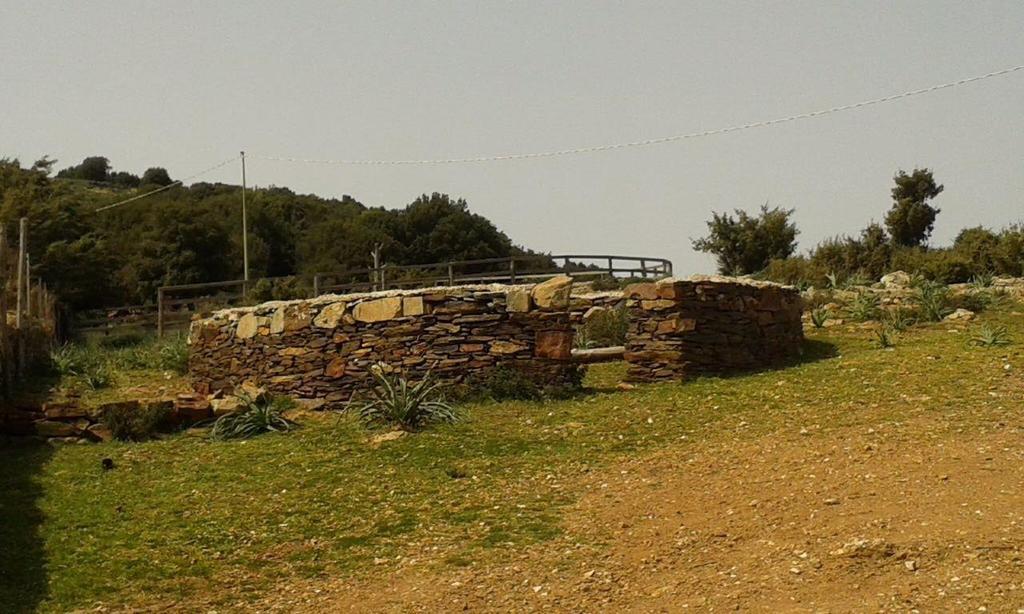Agriturismo S'Armidda Seùlo Exteriér fotografie