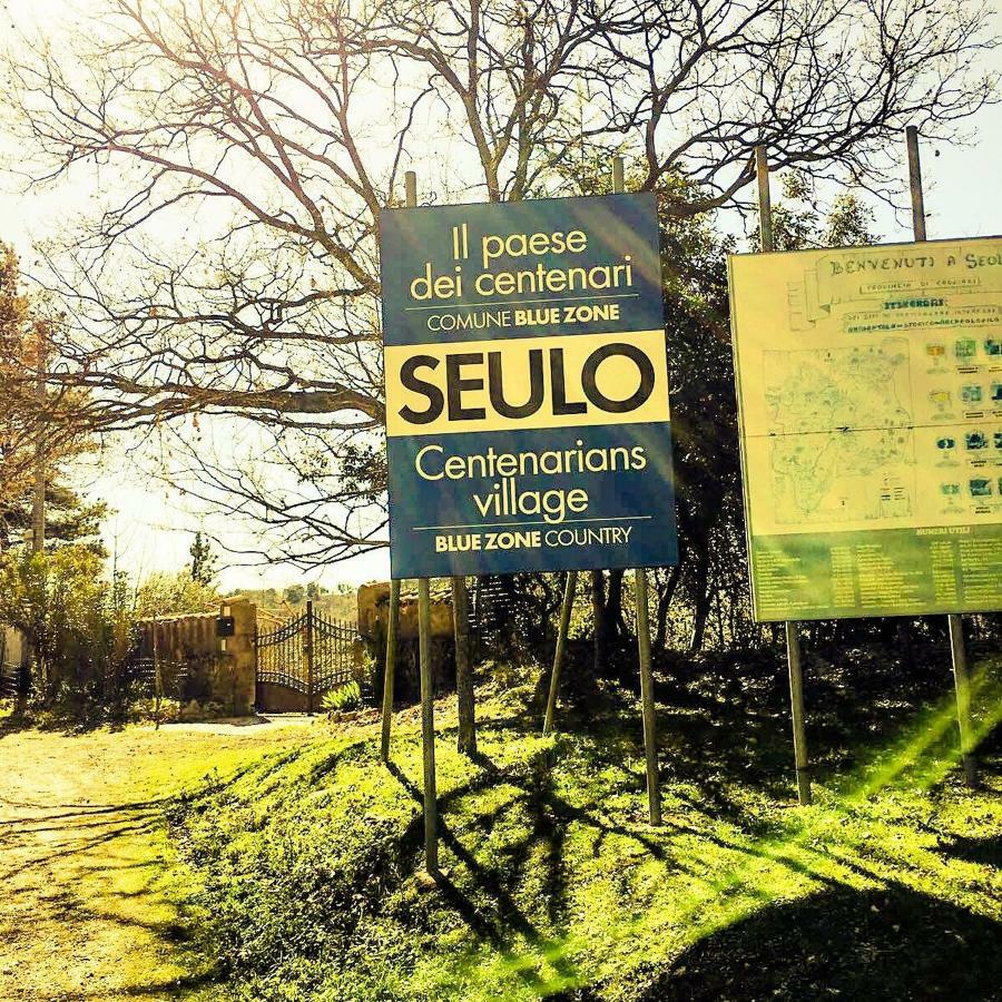 Agriturismo S'Armidda Seùlo Exteriér fotografie